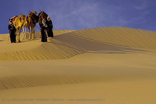 Desert the Qatar